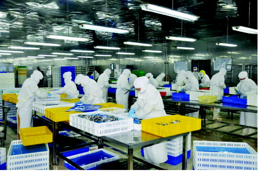 食品加工廠新工廠規劃方案該怎么寫？